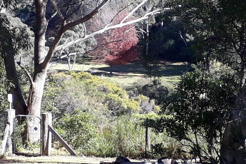 Katoomba Falls Cottage Экстерьер фото